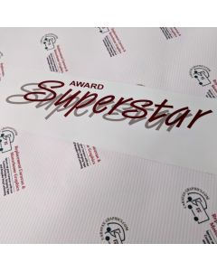 ABI superstar caravan stickers