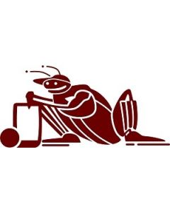 ABI Cricket Caravan Sticker Graphic
