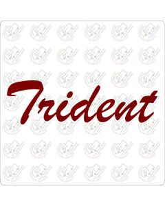 Autosleeper Trident Motorhome Sticker