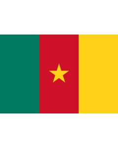 Cameroon flag sticker 