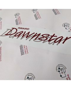 ABI award dawnstar caravn stickers