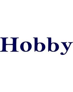 Hobby Lettering Caravan Graphic