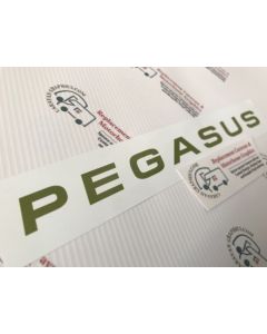 Bailey Pegasus Caravan sticker