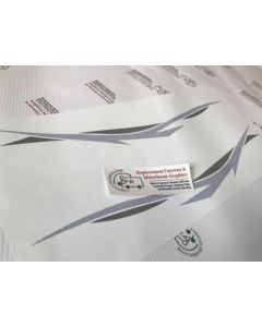 Coachman VIP caravan stickers