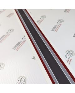 Autosleeper 2 metre Multi Colour Stripe Tape Sticker 